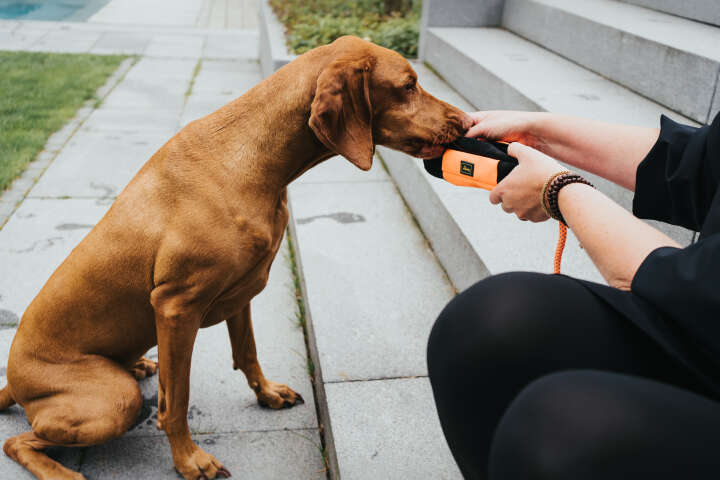 HUNTER Trainer-Snack Dummy mit Seil